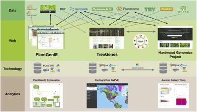 Cyberinfrastructure to Improve Forest Health and Productivity: The Role of Tree Databases in Connecting Genomes, Phenomes, and the Environment